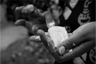 网页免费发手机号